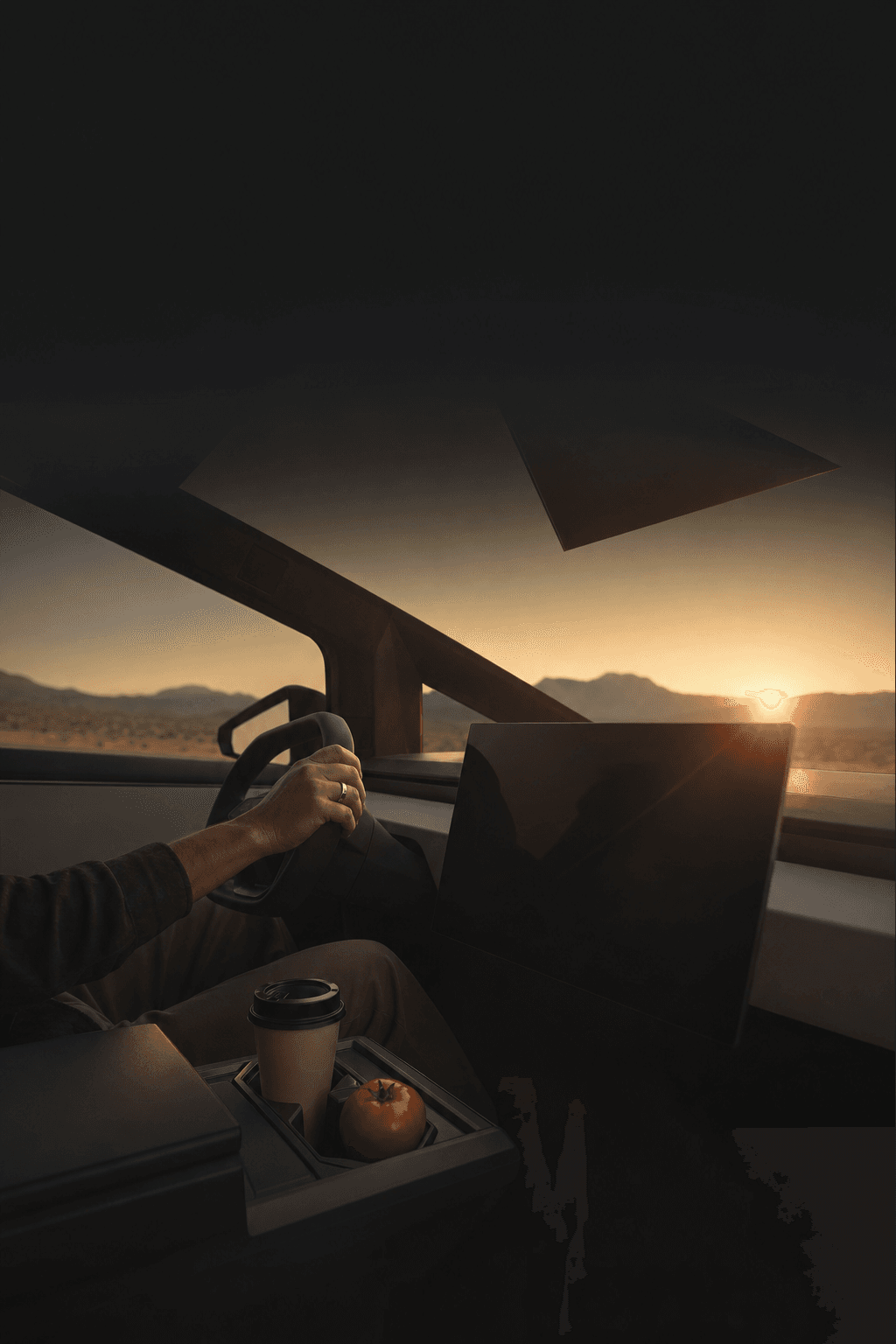 The Driver